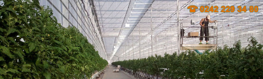 Vinaora Nivo Slider 3.x