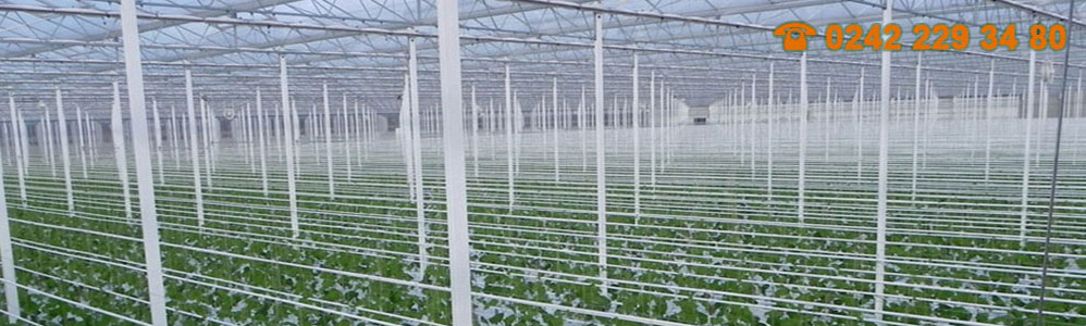 Vinaora Nivo Slider 3.x