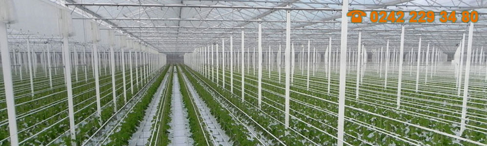 Vinaora Nivo Slider 3.x