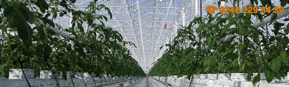 Vinaora Nivo Slider 3.x