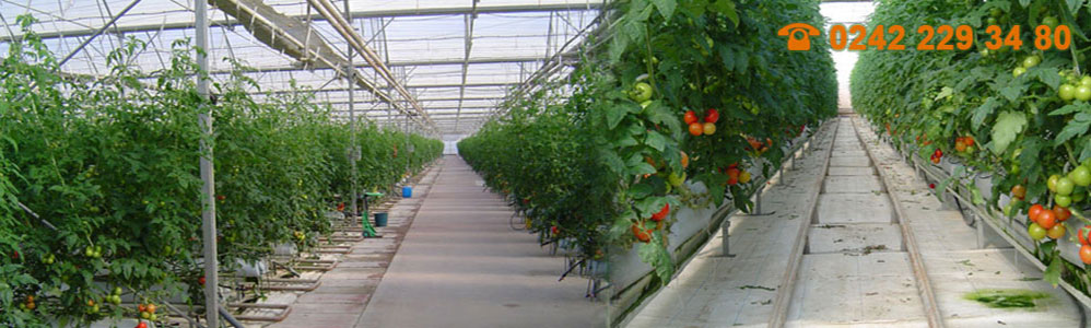 Vinaora Nivo Slider 3.x